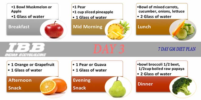 3 Day Diet Vs Gm Diet Soup