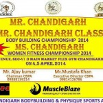 Mr-Chandigarh-2014