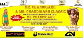 Mr-Chandigarh-2014