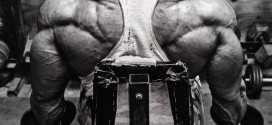 Protein Cycling