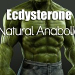 Natural-Anabolic-BODYBUILDING-DIET-TIPS