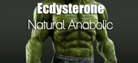 Natural-Anabolic-BODYBUILDING-DIET-TIPS