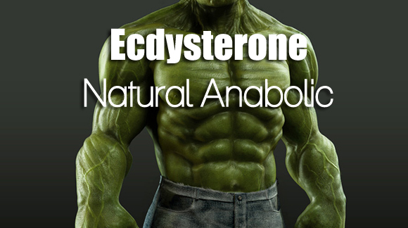 How to stay Anabolic