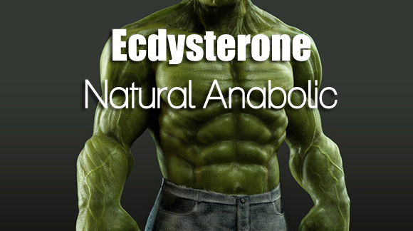 Natural-Anabolic-BODYBUILDING-DIET-TIPS