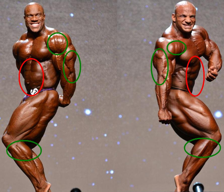 Big Ramy Bodybuilder Diet