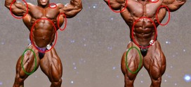 Phil Heath Vs Big Rammy