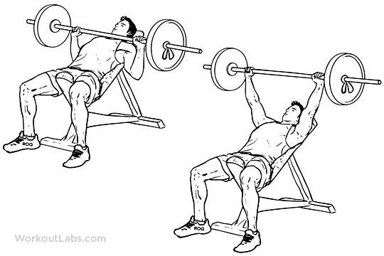 Incline Barbell Bench Press Indian Bodybuilding