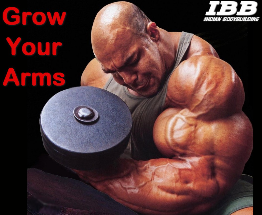 Tips to Grow Your Arms - Indian Bodybuilding