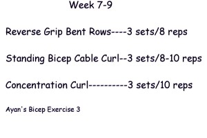 bicep exercise 3