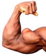 biceps 1 - Indian Bodybuilding