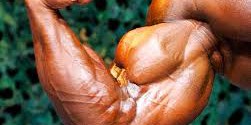 How to Build Huge Arms.