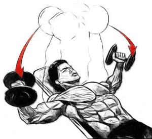 Incline Dumbbell Flyes