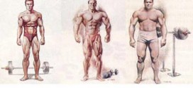 Are You an Endomorph? Here is Your Exercise and Diet Plan