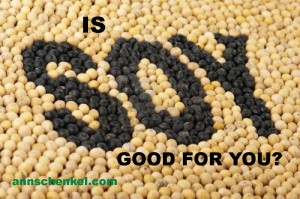 soy protein