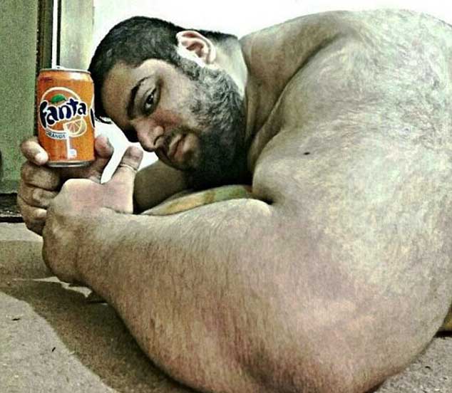 Moster Arms