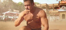 Salman Khan in Sultan