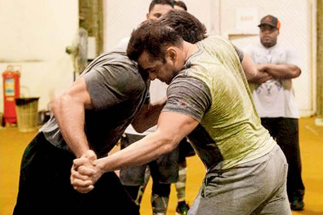 Salman khan sultan training