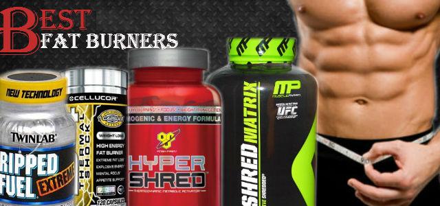 10 Best Fat Burner 2016 in India | Indian Bodybuilding Supplements