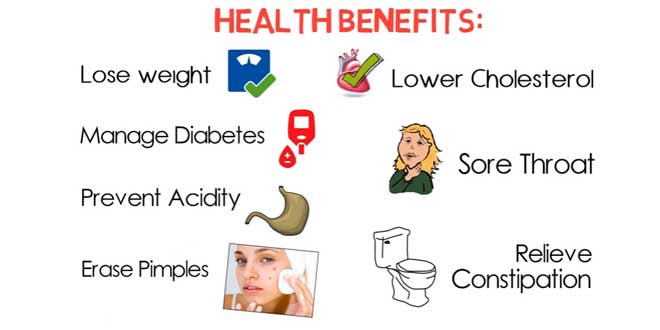 healthviva-apple-cider-vinegar-health-benefits