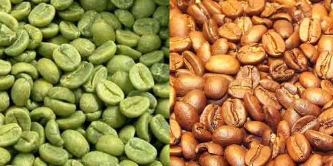 green-cofee-beans-ingredients-content