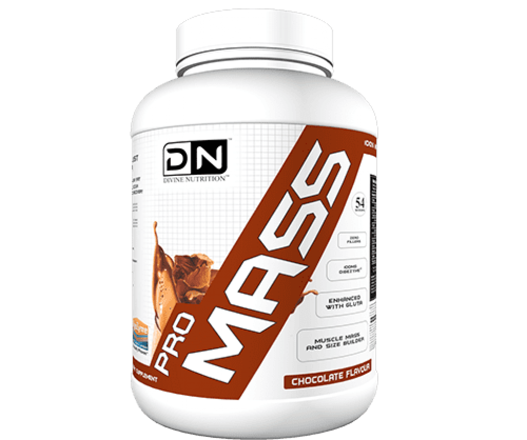 Divine Nutrition Pro Mass Review and Price March 2023 - Indian Bodybuilding  Products