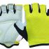 Everlast Ross Weight Lifting Fitness Gloves Review