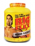 Big Flex Mass Gainer Supplement Review and Price List