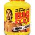 Big Muscles Nitric Whey Protein Supplement Review and Price List