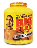 Big Flex Whey Protein Supplement Review and Price List