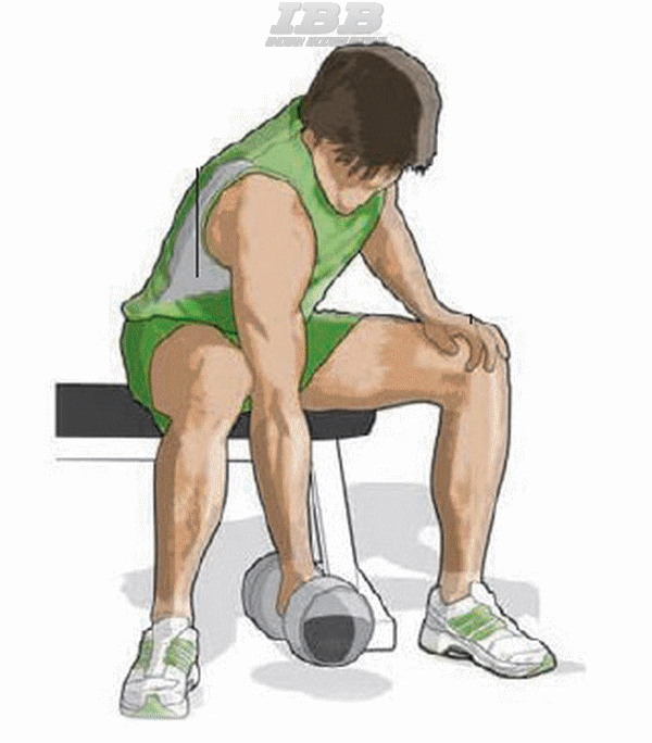 Concentration biceps exercise hotsell