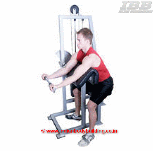 Biceps Machine Curls - Exercise  Movement