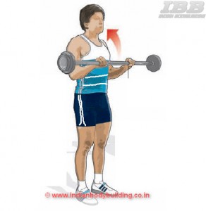 Biceps Workout Reverse Curls Step 2