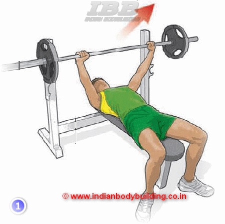 Mensa Workout