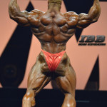 Phil Heath at Mr Olympia 2015 Back Double Biceps