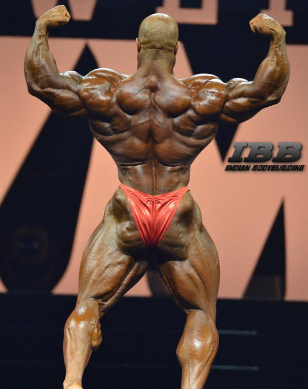 Phil Heath at Mr Olympia 2015 Back Double Biceps IBB Indian Bodybuilding