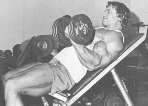 Arnold Biceps Workout