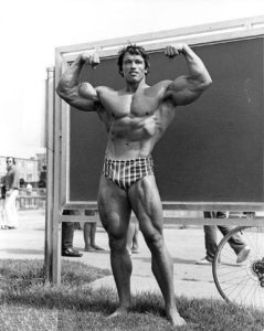 Arnold Schwarzenegger Perfect Pose