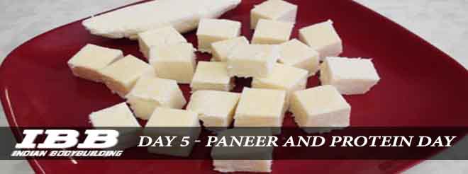 Day 5 Paneer and Protein Day