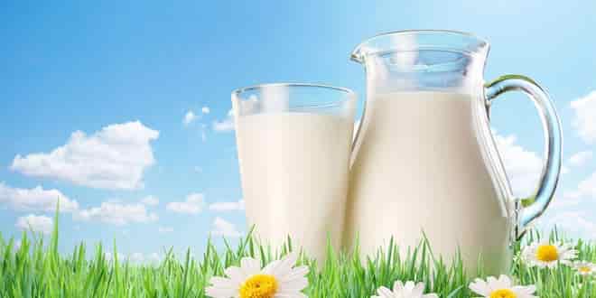 Dairy in Paleo diet plan