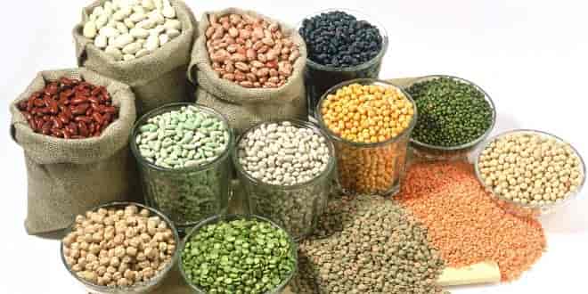 Legumes in paleo diet