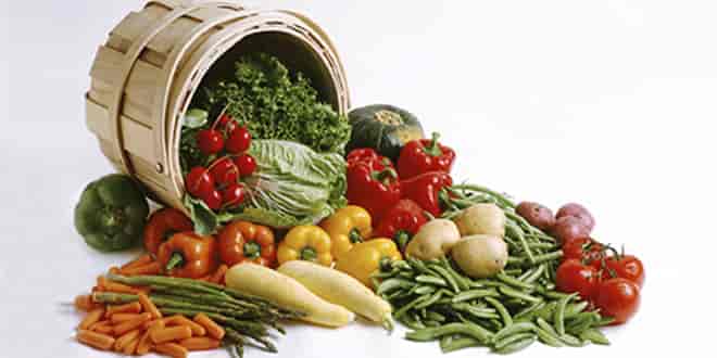 Vegetables in Paleo Diet Plan