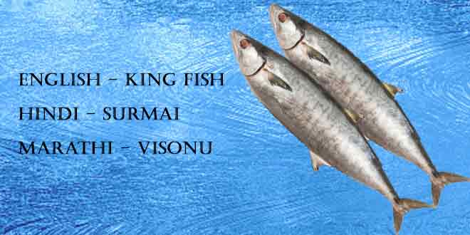 Top 10 Best Indian Fishes Or Seafood Rich In Protein Ibb Indian Bodybuilding