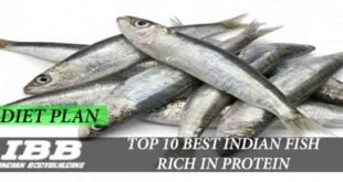 Top 10 Indian Fish rich in Protein