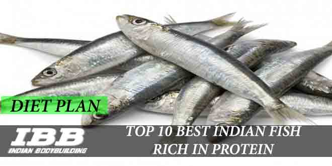 Top 10 Best Indian Fishes Or Seafood Rich In Protein Ibb