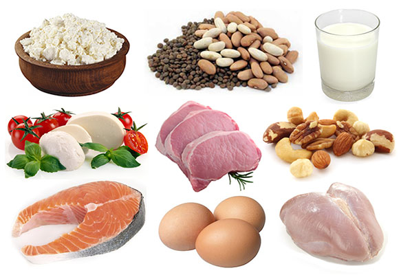 Protein Source Foods
