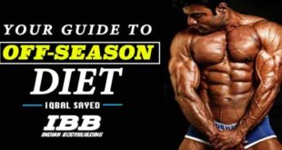 Guide To Off Season Diet