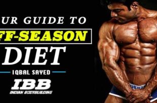 Guide To Off Season Diet