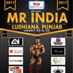 WABBA Mr India 2017