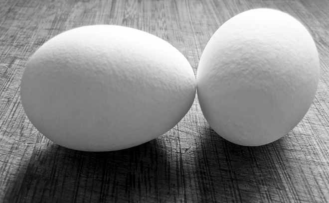 Eggs contain L Glutamine