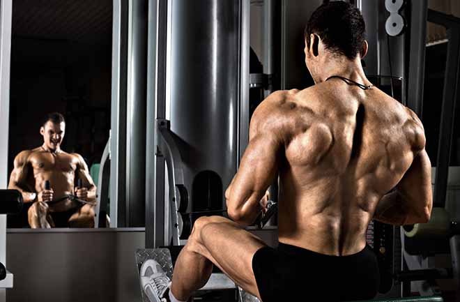 Why you need L Glutamine